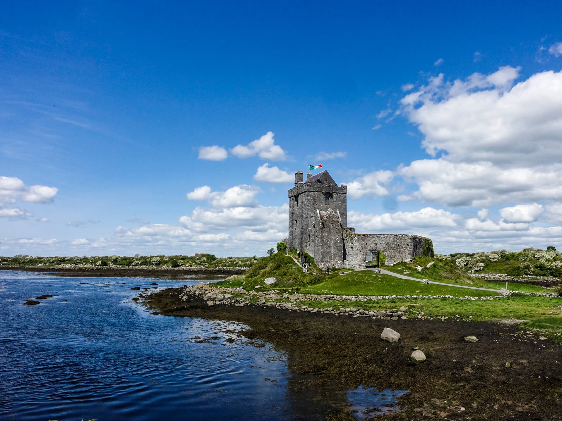 bG9jYWw6L2ZpbGVhZG1pbi9BbHRlU2VpdGUvQWx0